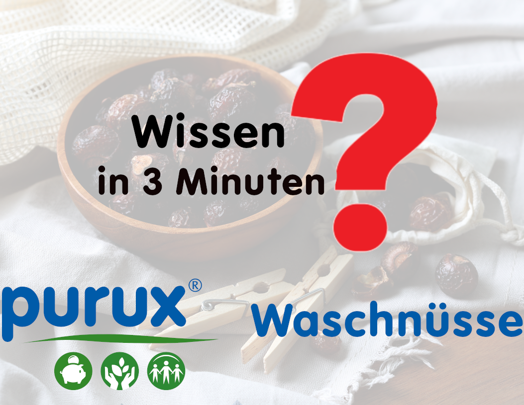 Waschnüsse: Wissen in 3 Minuten